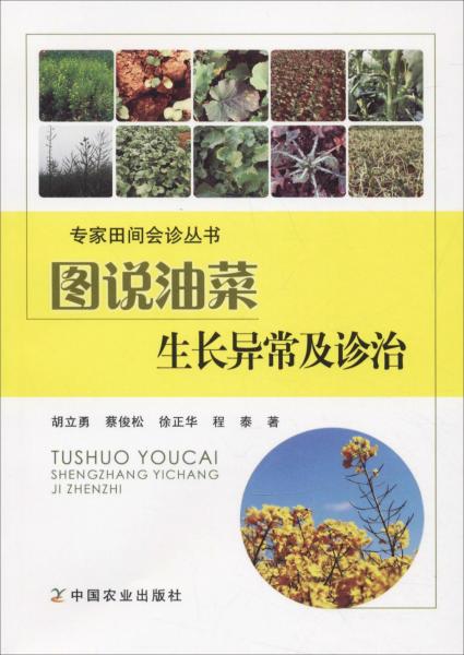 圖說油菜生長異常及診治 