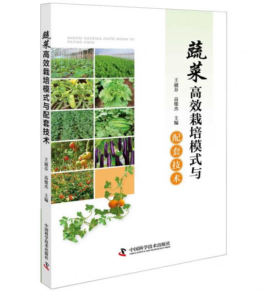 蔬菜高效栽培模式与配套技术