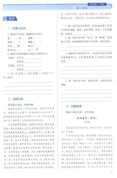 同步解析与测评：语文