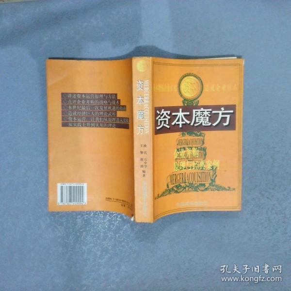 資本魔方:企業(yè)并購原理與經(jīng)典案例
