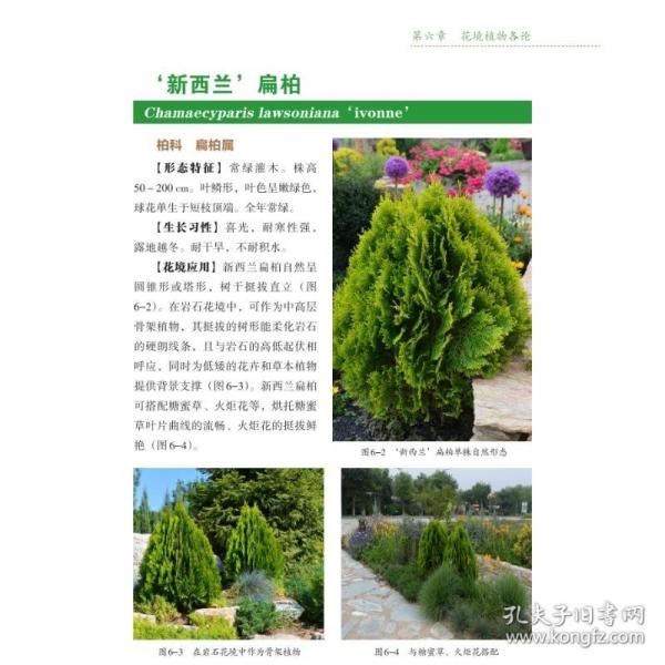 花境營(yíng)建實(shí)用技術(shù)