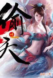 偷天4