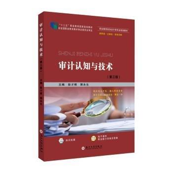 審計認知與技術(shù)（第三版）