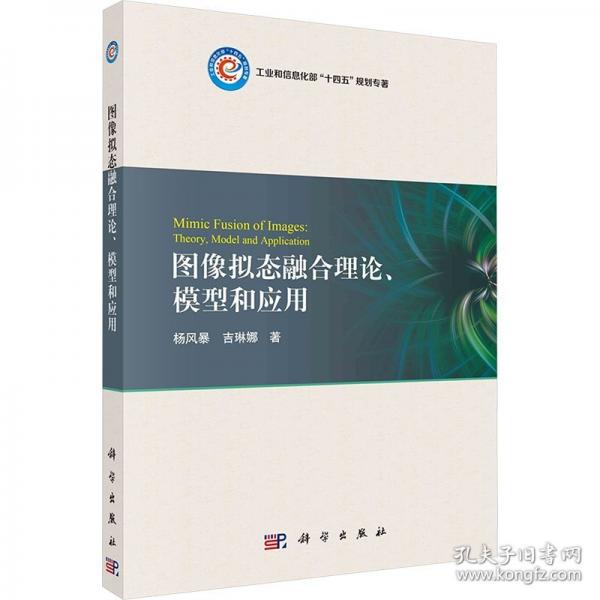 图像拟态融合理论、模型和应用