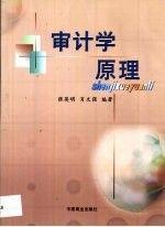 審計(jì)學(xué)原理