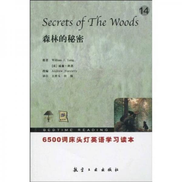 6500詞床頭燈英語(yǔ)14