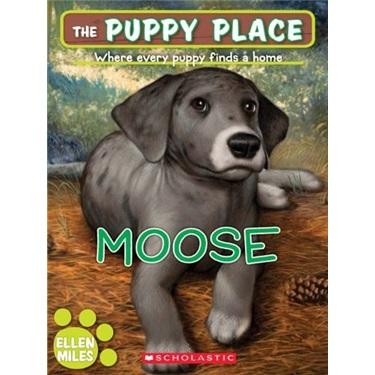 ThePuppyPlace#23:Moose[小狗之家23：穆斯]