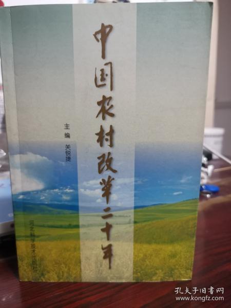 中國農(nóng)村改革二十年