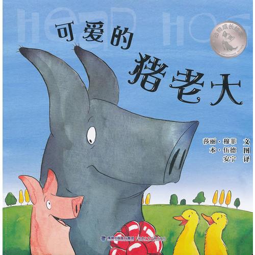 可愛的豬老大