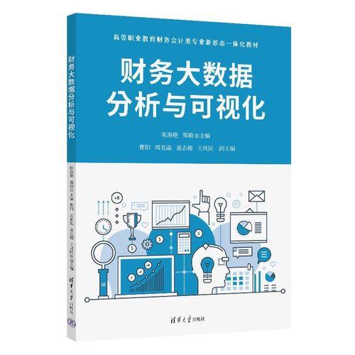 财务大数据分析与可视化（）