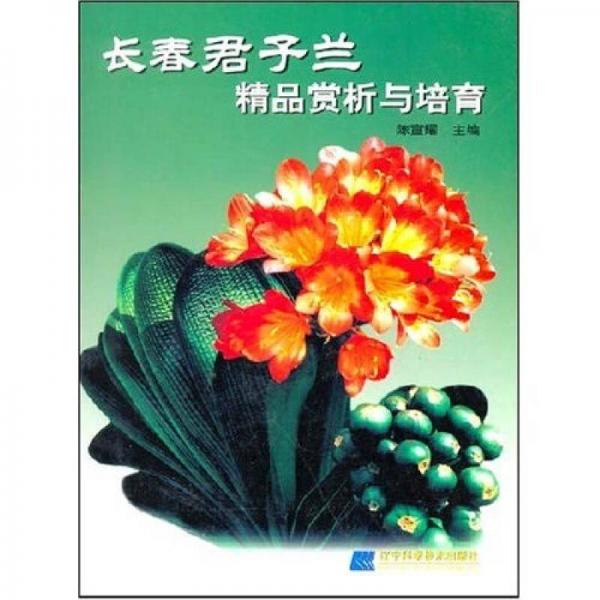 長(zhǎng)春君子蘭精品賞析與培育