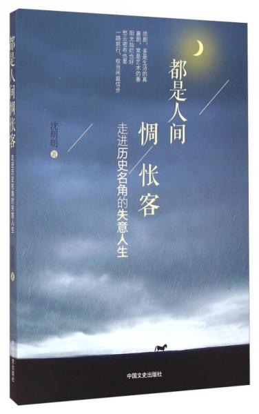 都是人間惆悵客：走進(jìn)歷史名角的失意人生