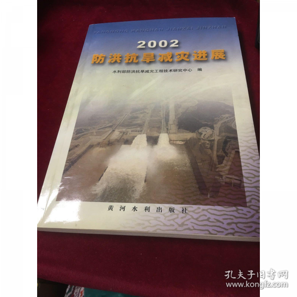 2002防洪抗旱減災(zāi)進展