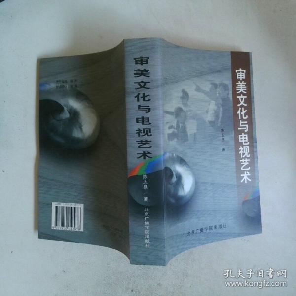 审美文化与电视艺术