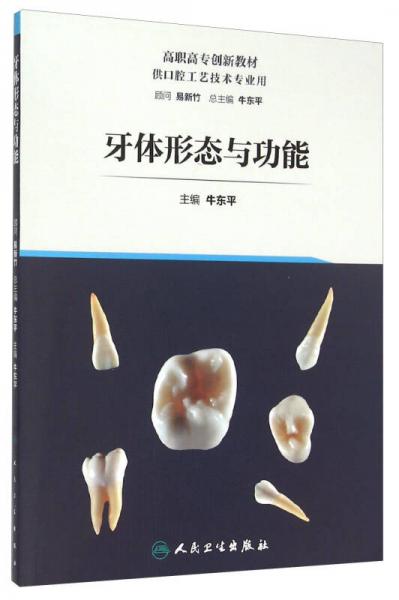 牙體形態(tài)與功能
