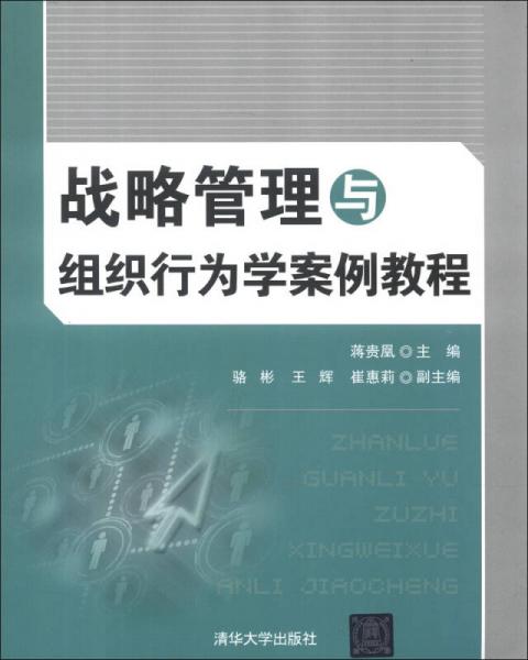 战略管理与组织行为学案例教程