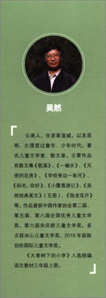 大青树下的小学：人教版课文作家作品系列同名作品收入统编语文课文三年级上册