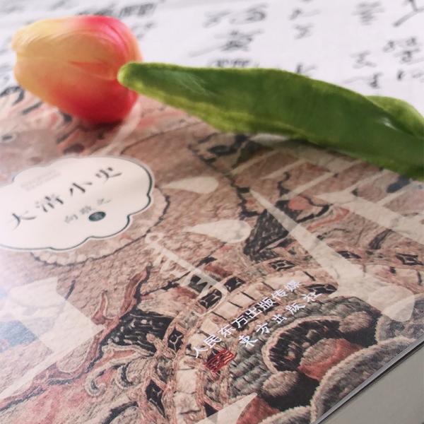 大清小史趣说清代史，注重细节分析、事实推理，有趣爆料，大胆推理，以清宫剧为切口，显微历史的现场与背后