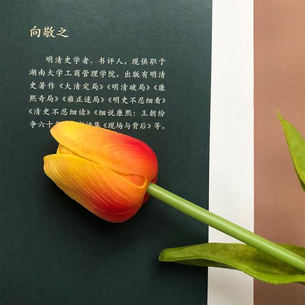 大清小史趣说清代史，注重细节分析、事实推理，有趣爆料，大胆推理，以清宫剧为切口，显微历史的现场与背后