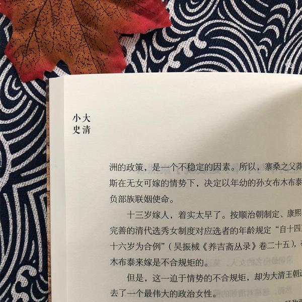 大清小史趣说清代史，注重细节分析、事实推理，有趣爆料，大胆推理，以清宫剧为切口，显微历史的现场与背后