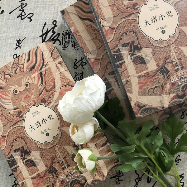 大清小史趣说清代史，注重细节分析、事实推理，有趣爆料，大胆推理，以清宫剧为切口，显微历史的现场与背后