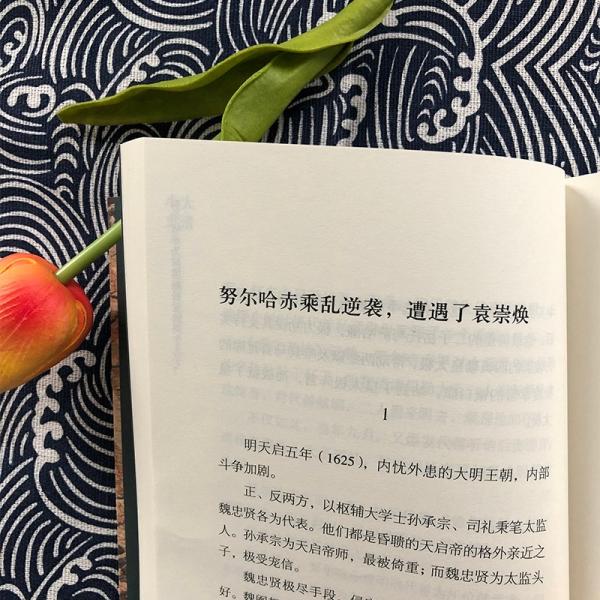 大清小史趣说清代史，注重细节分析、事实推理，有趣爆料，大胆推理，以清宫剧为切口，显微历史的现场与背后