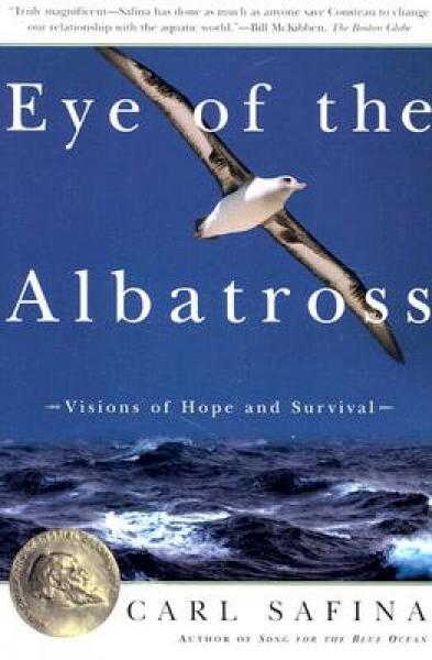 Eye of the Albatross：Eye of the Albatross