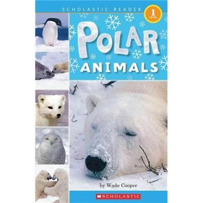 PolarAnimals(POB)(LEVEL1)极地动物