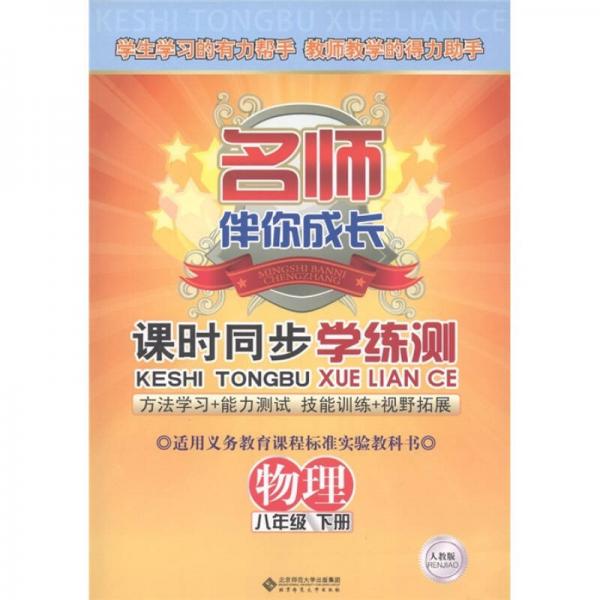 名师伴你成长·课时同步学练测：物理（8年级下·人教版）