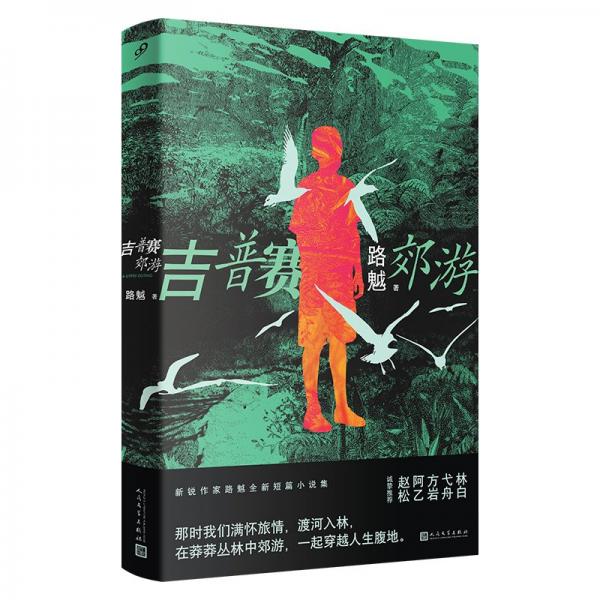 吉普賽郊游（林白、弋舟、阿乙、方巖、趙松誠(chéng)摯推薦；90后新銳作家路魆全新短篇集）