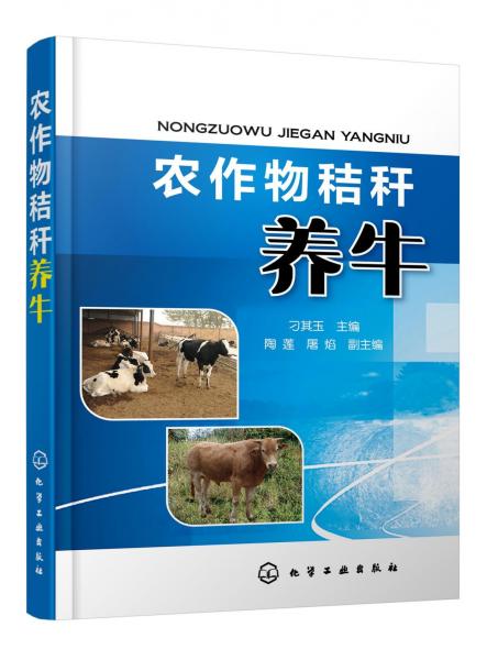 農(nóng)作物秸稈養(yǎng)牛 