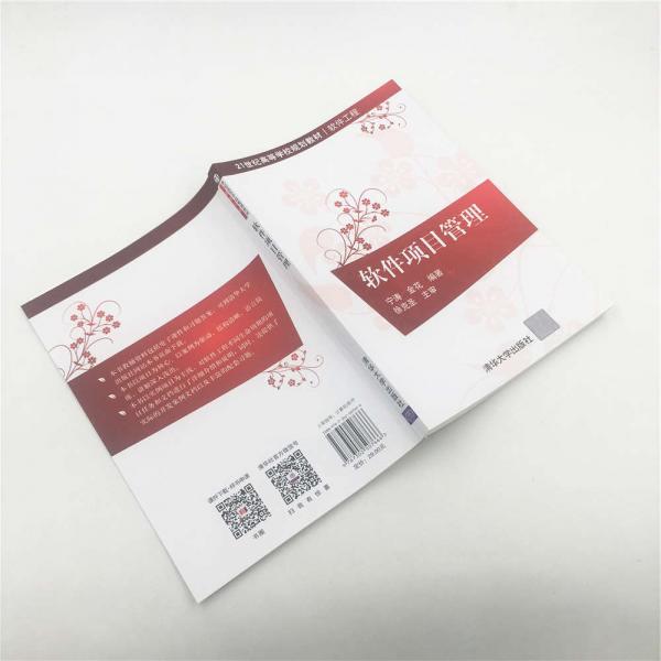 软件项目管理（）