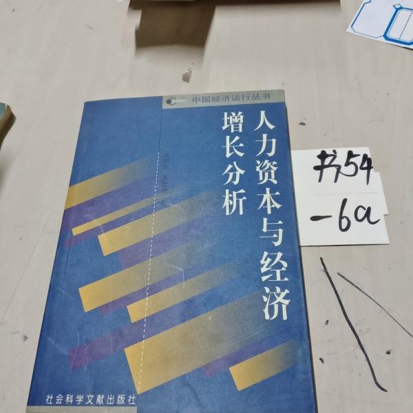 人力資本與經(jīng)濟(jì)增長分析