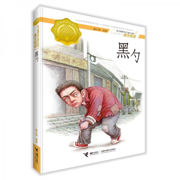 黑勺（接力杯曹文軒兒童小說獎(jiǎng)美文悅讀）