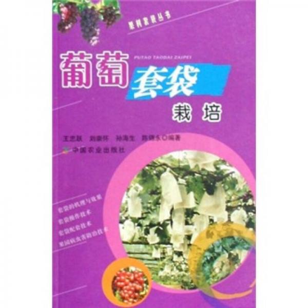 葡萄套袋栽培