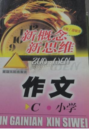新概念新思維作文C卷小學(xué)
