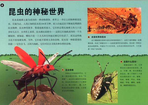 超级炫酷3D立体大百科：昆虫王国大探秘