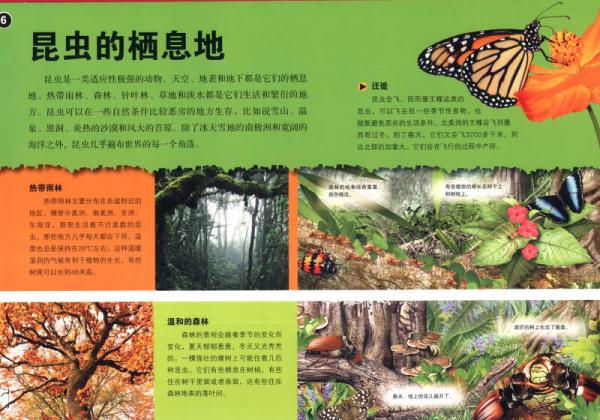 超级炫酷3D立体大百科：昆虫王国大探秘