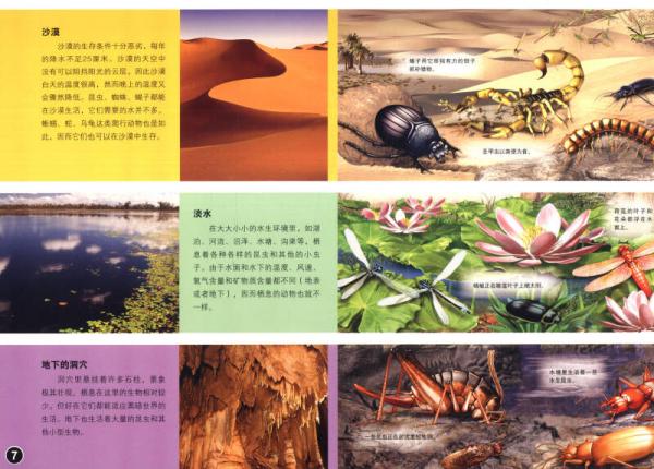 超级炫酷3D立体大百科：昆虫王国大探秘