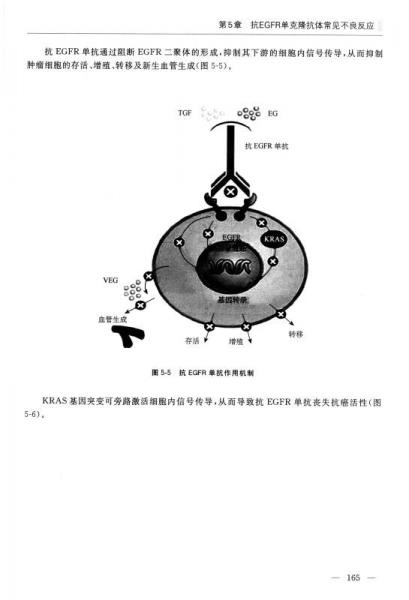 肿瘤分子靶向治疗不良反应防治