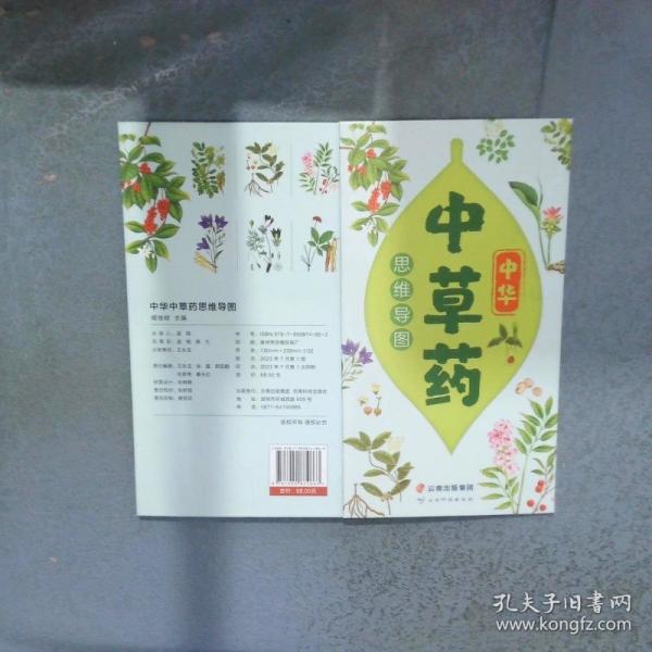 中华中草药思维导图