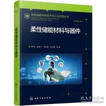 先进储能科学技术与工业应用丛书--柔性储能材料与器件