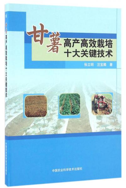 甘薯高产高效栽培十大关键技术