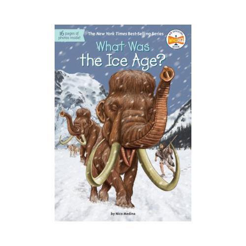What Was the Ice Age?