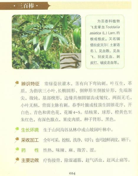 實用土家族藥物