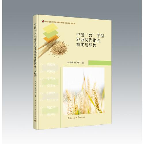 中國“興”字型農(nóng)業(yè)現(xiàn)代化的演化與趨勢
