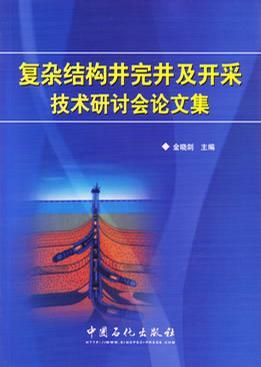 复杂结构井完井及开采技术研讨会论文集