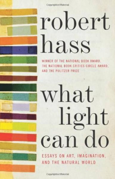 What Light Can Do: Essays on Art, Imagination, and the Natural World