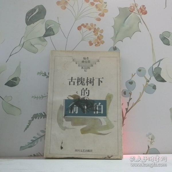 古槐樹下的俞平伯