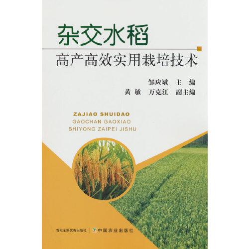 雜交水稻高產(chǎn)高效實用栽培技術(shù)